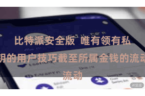 比特派安全版  唯有领有私钥的用户技巧截至所属金钱的流动